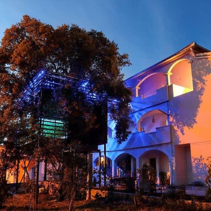 Apartament Js Bibinje